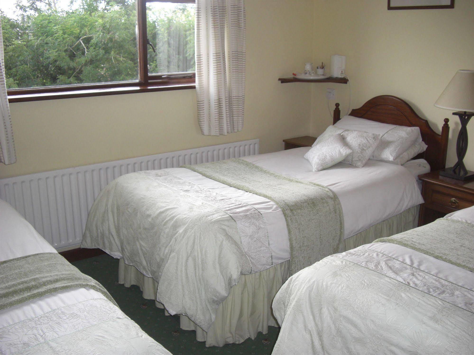 Bed and Breakfast Springlawn Clarinbridge Esterno foto