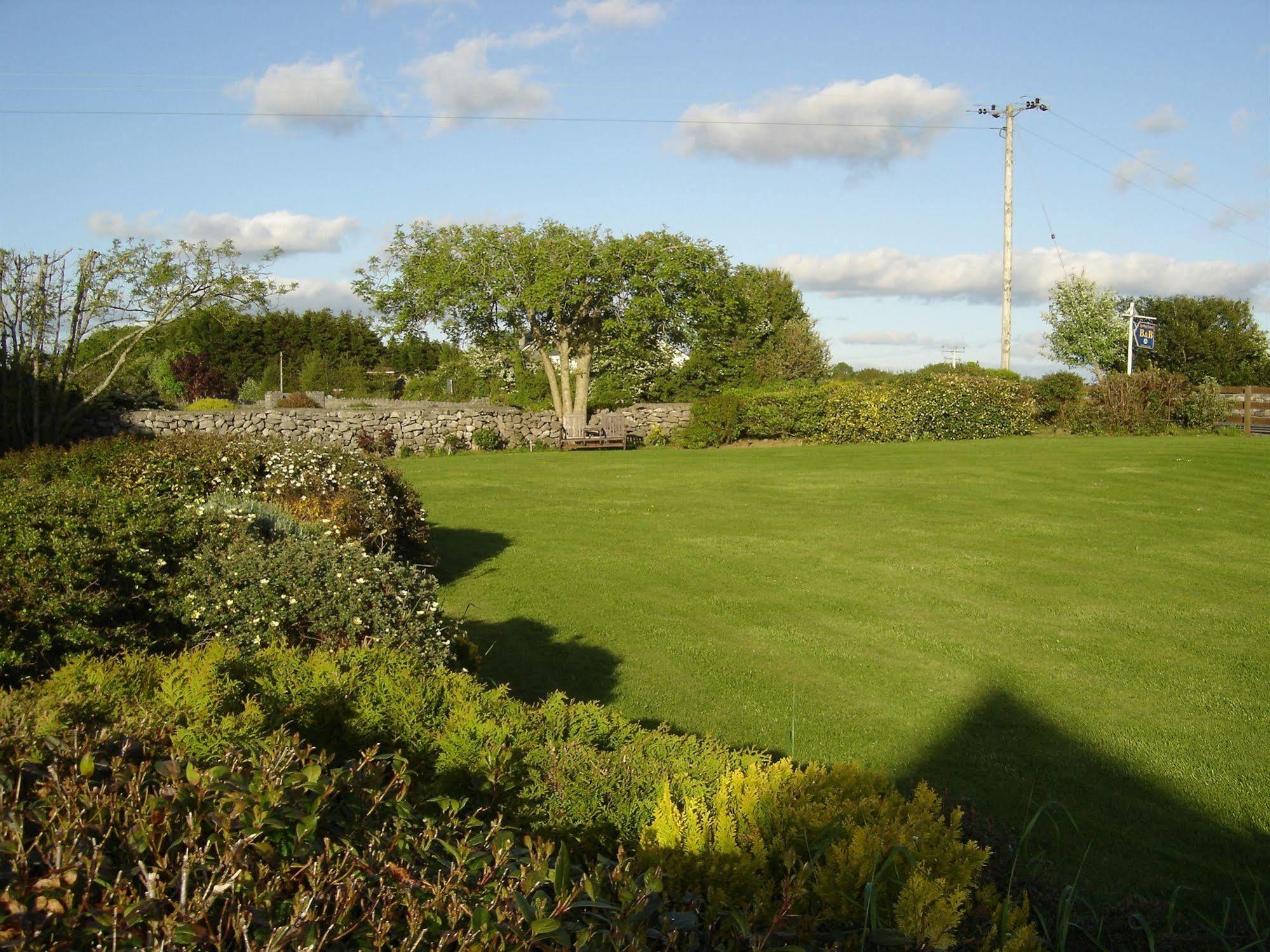 Bed and Breakfast Springlawn Clarinbridge Esterno foto